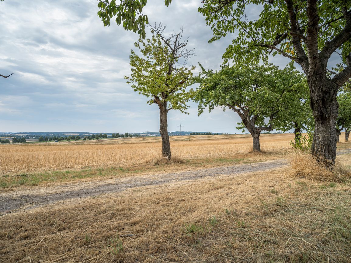 Rural Landscape in Europe: Agricultural Fields View