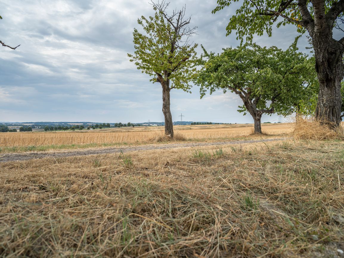 Rural Landscape in Europe: Agricultural Fields View