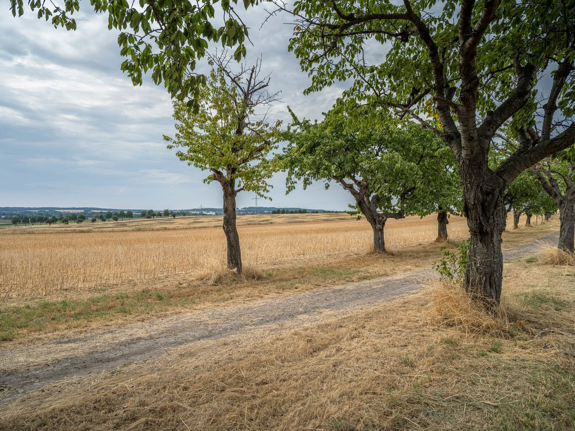 Rural Landscape in Europe: Agricultural Fields View