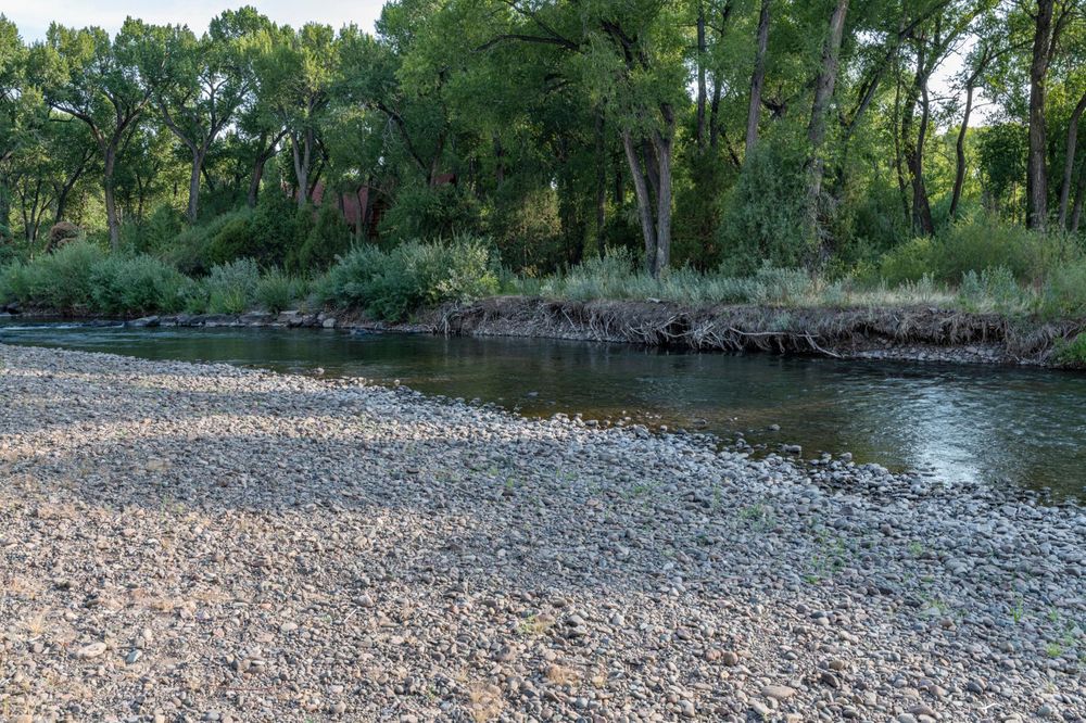 Antonito Colorado: Dry River Tree - HDRi Maps and Backplates