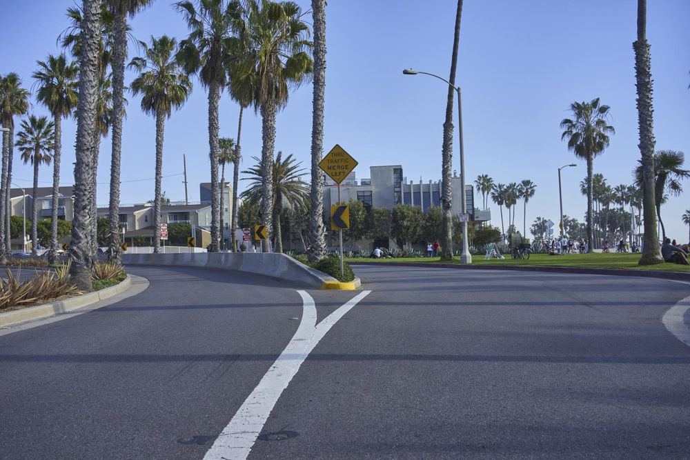 Los Angeles Coastal Road with Palm Trees