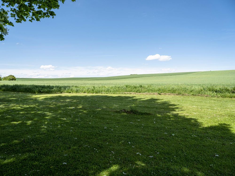 Lush Green Landscape in Germany - HDRi Maps and Backplates