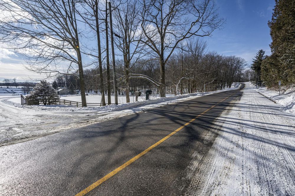 Ontario Forest Road in the Daylight - HDRi Maps and Backplates