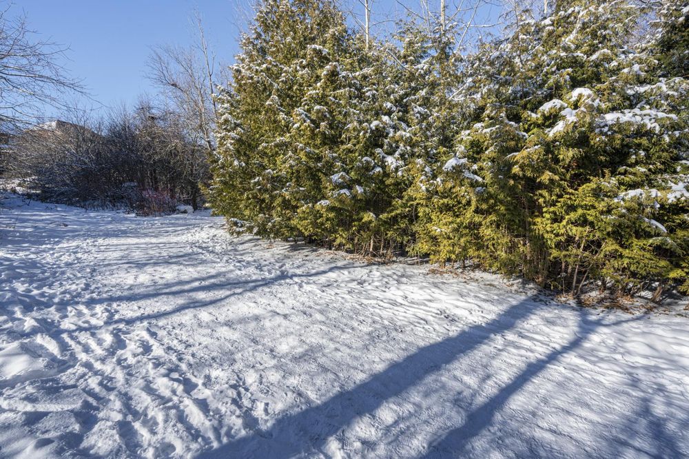 Ontario Landscape: Exploring the Canadian Forest - HDRi Maps and Backplates