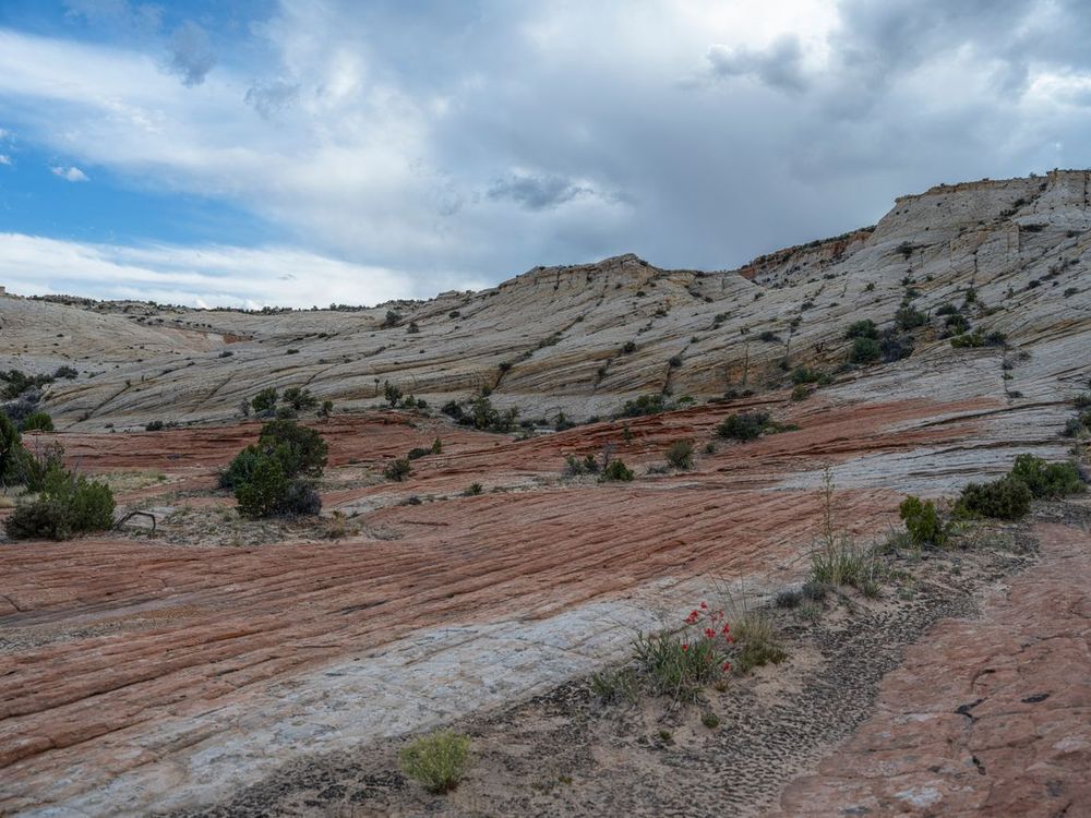 Open Space Landscape in Utah: A Sky Full of Majestic Clouds - HDRi Maps ...