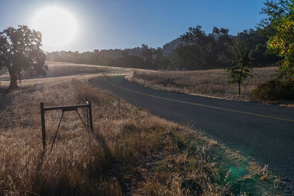 Scenic Rural Landscape with Vegetation and Clear Sky - HDRi Maps and ...