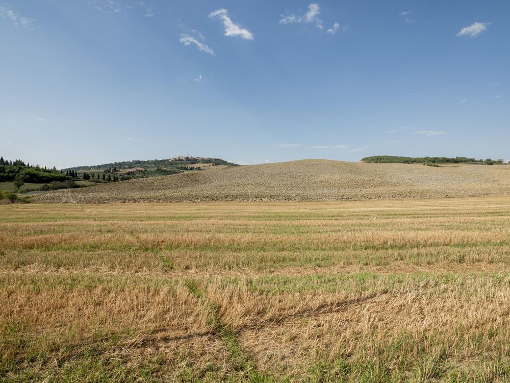 Tuscany Landscape with Pasture and Clear Sky - HDRi Maps and Backplates