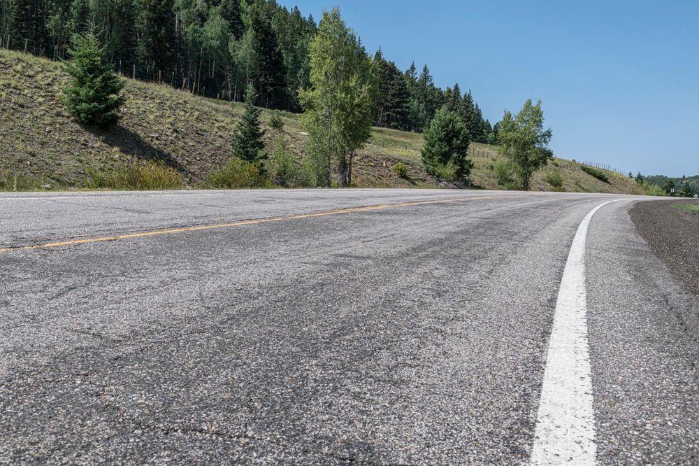 USA Asphalt Road Surrounded by Nature and Forest - HDRi Maps and Backplates