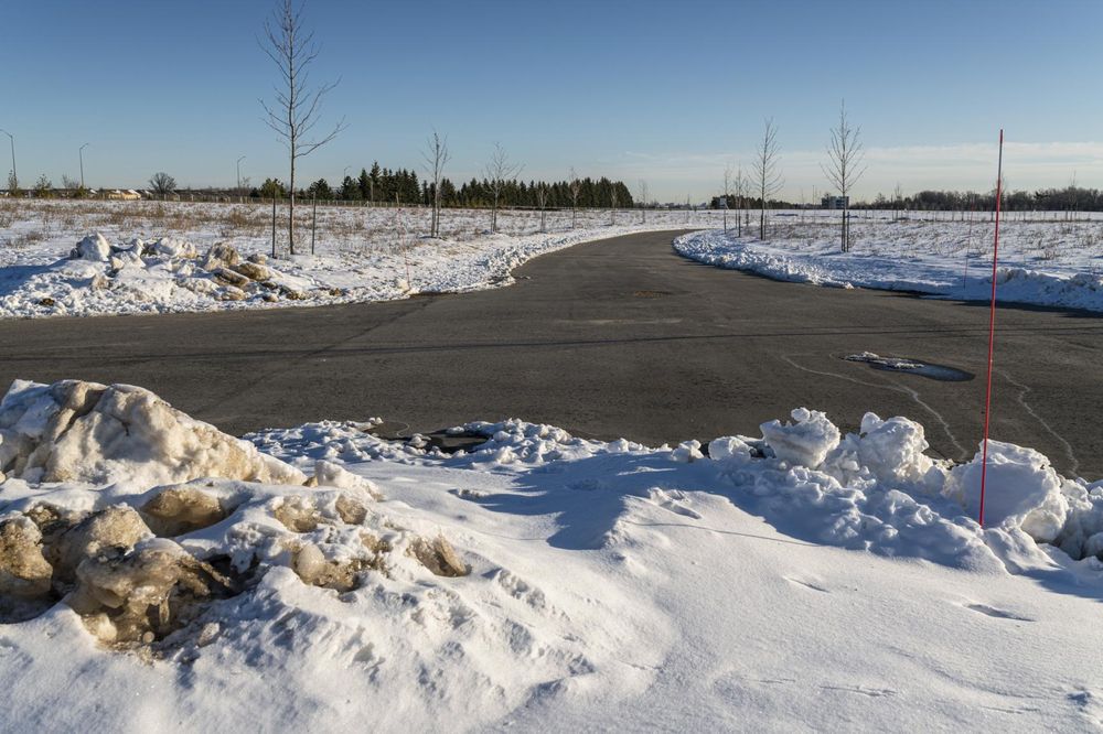 Winter Landscape in Canada: Trees and Clear Skies - HDRi Maps and ...