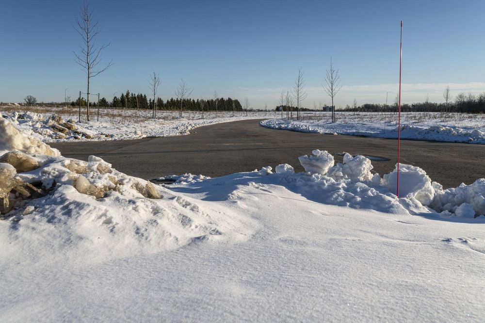 Winter Landscape in Canada: Trees and Clear Skies - HDRi Maps and ...