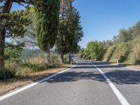 a man walks down a tree lined road with no cars on it, and tall trees to the side