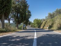 a man walks down a tree lined road with no cars on it, and tall trees to the side