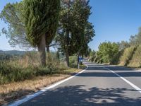 a man walks down a tree lined road with no cars on it, and tall trees to the side