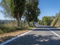 a man walks down a tree lined road with no cars on it, and tall trees to the side