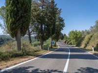 a man walks down a tree lined road with no cars on it, and tall trees to the side