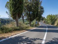 a man walks down a tree lined road with no cars on it, and tall trees to the side