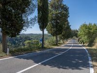 a man walks down a tree lined road with no cars on it, and tall trees to the side