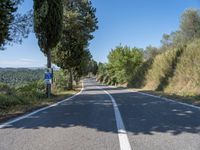 a man walks down a tree lined road with no cars on it, and tall trees to the side