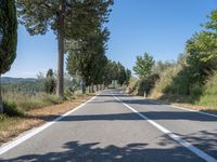 a man walks down a tree lined road with no cars on it, and tall trees to the side