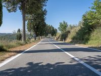 a man walks down a tree lined road with no cars on it, and tall trees to the side