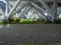 there is a concrete walkway and white pillars that are located in a row along with green grass