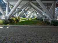 there is a concrete walkway and white pillars that are located in a row along with green grass