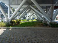 there is a concrete walkway and white pillars that are located in a row along with green grass