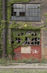 an old, dirty building with a door and windows in overgrown vegetation on it's side