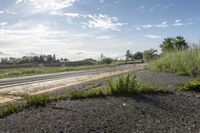 the train tracks are empty and overgrown as grass grows around it from the cracks in the road