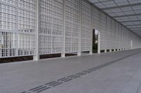 a long white wall covered with a latticed area of bricks and glass blocks on the ground