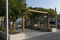 Abu Dhabi City: A Park and Residential Area