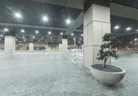 a lone planter on the sidewalk in an indoor basketball court at night time in an industrial area