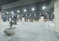 a lone planter on the sidewalk in an indoor basketball court at night time in an industrial area