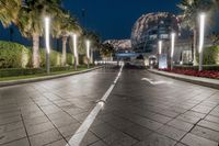 the asphalted street has palm trees and bright lights on it at night time in the city