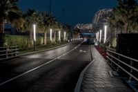 the asphalted street has palm trees and bright lights on it at night time in the city