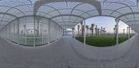 a view of a walkway with a circular roof in front of palm trees and an open air space