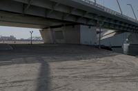 the shadow of a person on a skateboard underneath a bridge, a city in the background