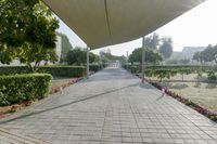 an empty walkway through a park with some pink flowers and white buildings in the background