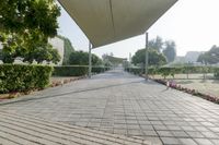 an empty walkway through a park with some pink flowers and white buildings in the background