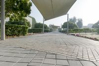 an empty walkway through a park with some pink flowers and white buildings in the background