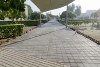 an empty walkway through a park with some pink flowers and white buildings in the background