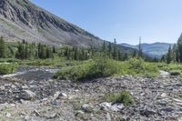 Adventure in the Highlands: Colorado Cliffs and Mountains