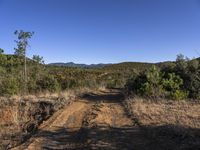 Adventure Journey on Off Road Path