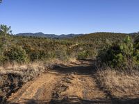 Adventure Journey on Off Road Path