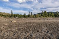 a dirt field and rocks sitting under clouds above the ground with trees on both sides