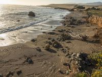 a grassy field by the shore and a cliff with rocks in the ocean in the background