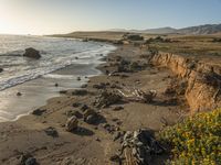 a grassy field by the shore and a cliff with rocks in the ocean in the background