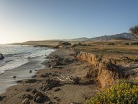 a grassy field by the shore and a cliff with rocks in the ocean in the background