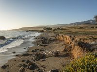 a grassy field by the shore and a cliff with rocks in the ocean in the background