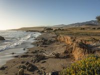 a grassy field by the shore and a cliff with rocks in the ocean in the background